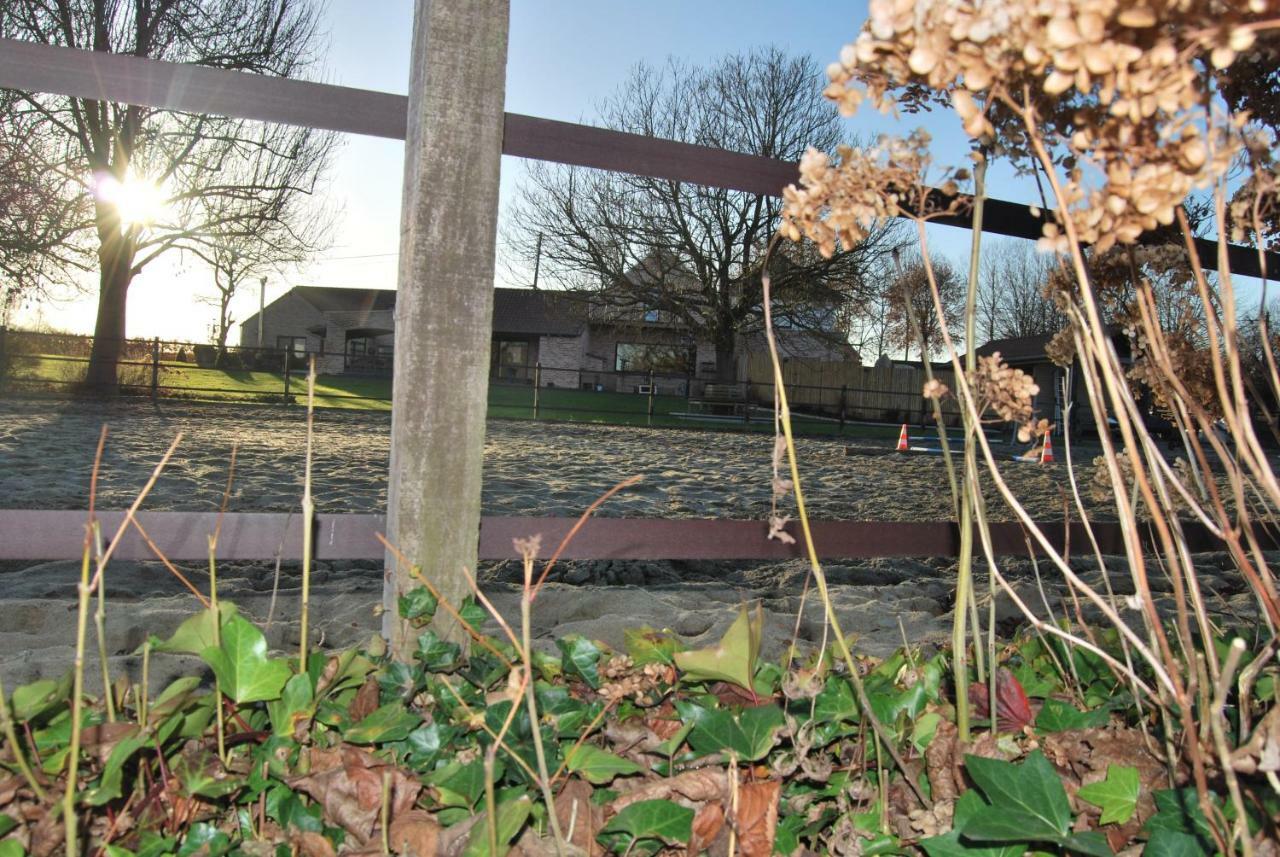 Hof Leskensdaele Lejlighed Geraardsbergen Eksteriør billede